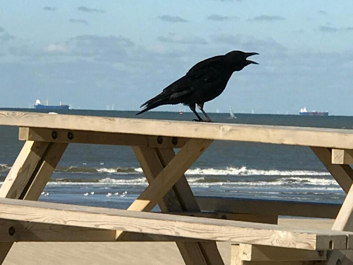 Boutique Hide & Seek, Bed & Beach Bed and Breakfast Haag Eksteriør billede