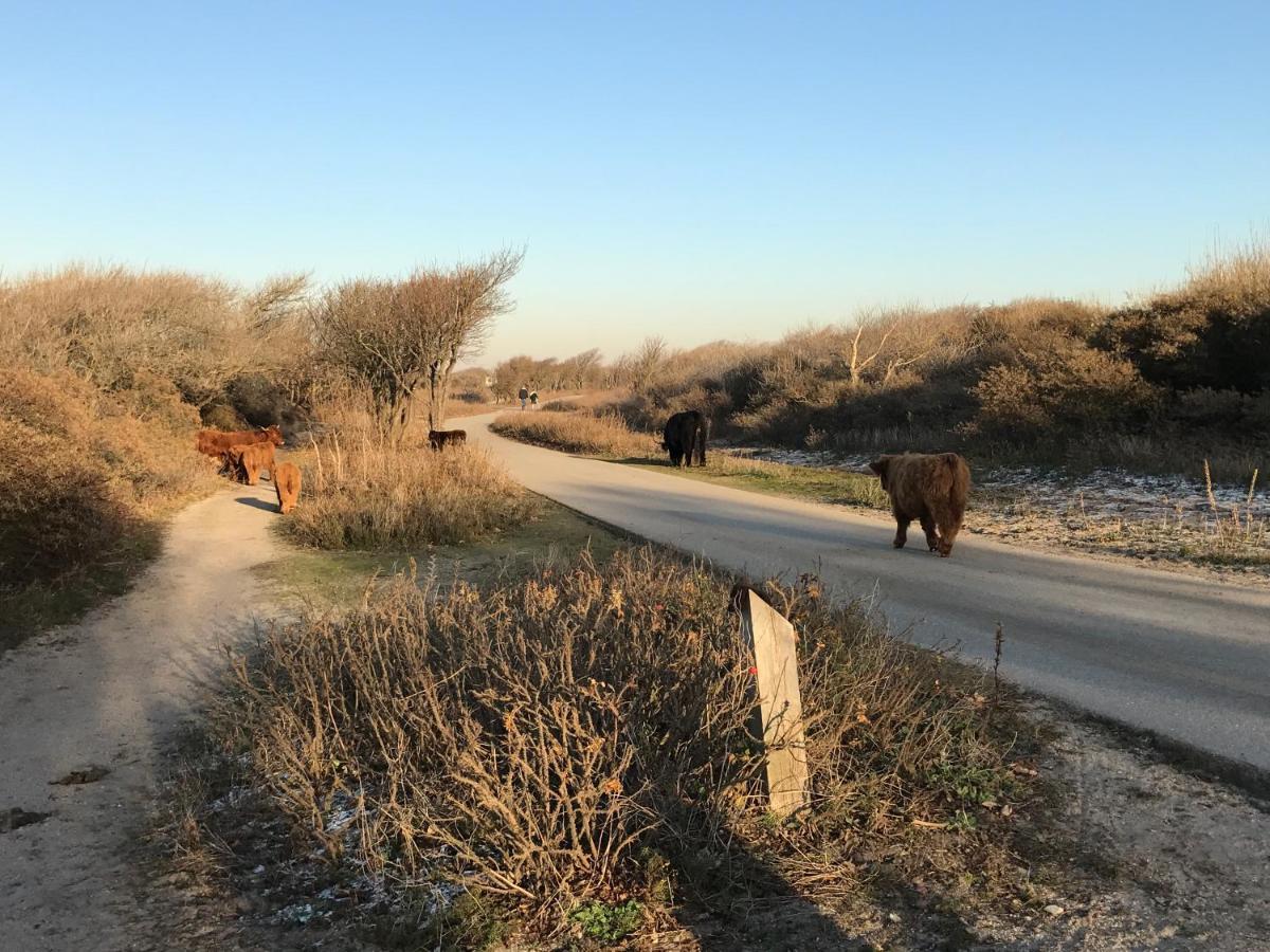 Boutique Hide & Seek, Bed & Beach Bed and Breakfast Haag Eksteriør billede