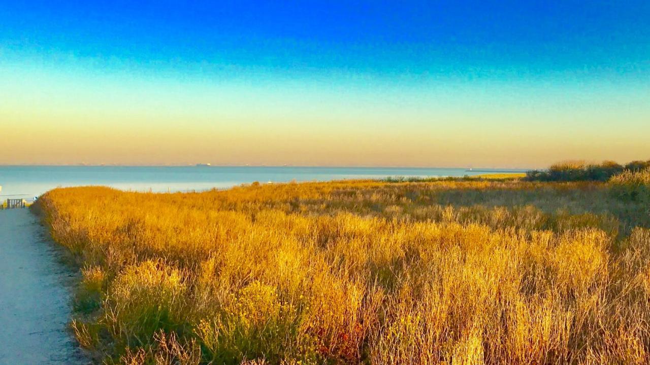 Boutique Hide & Seek, Bed & Beach Bed and Breakfast Haag Eksteriør billede