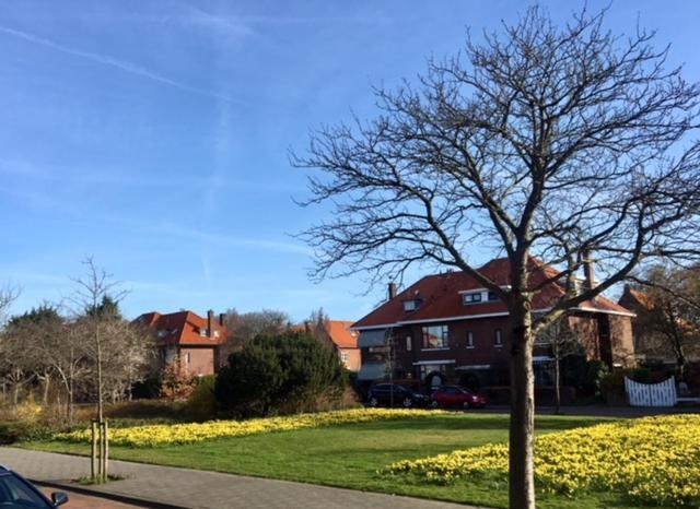 Boutique Hide & Seek, Bed & Beach Bed and Breakfast Haag Eksteriør billede